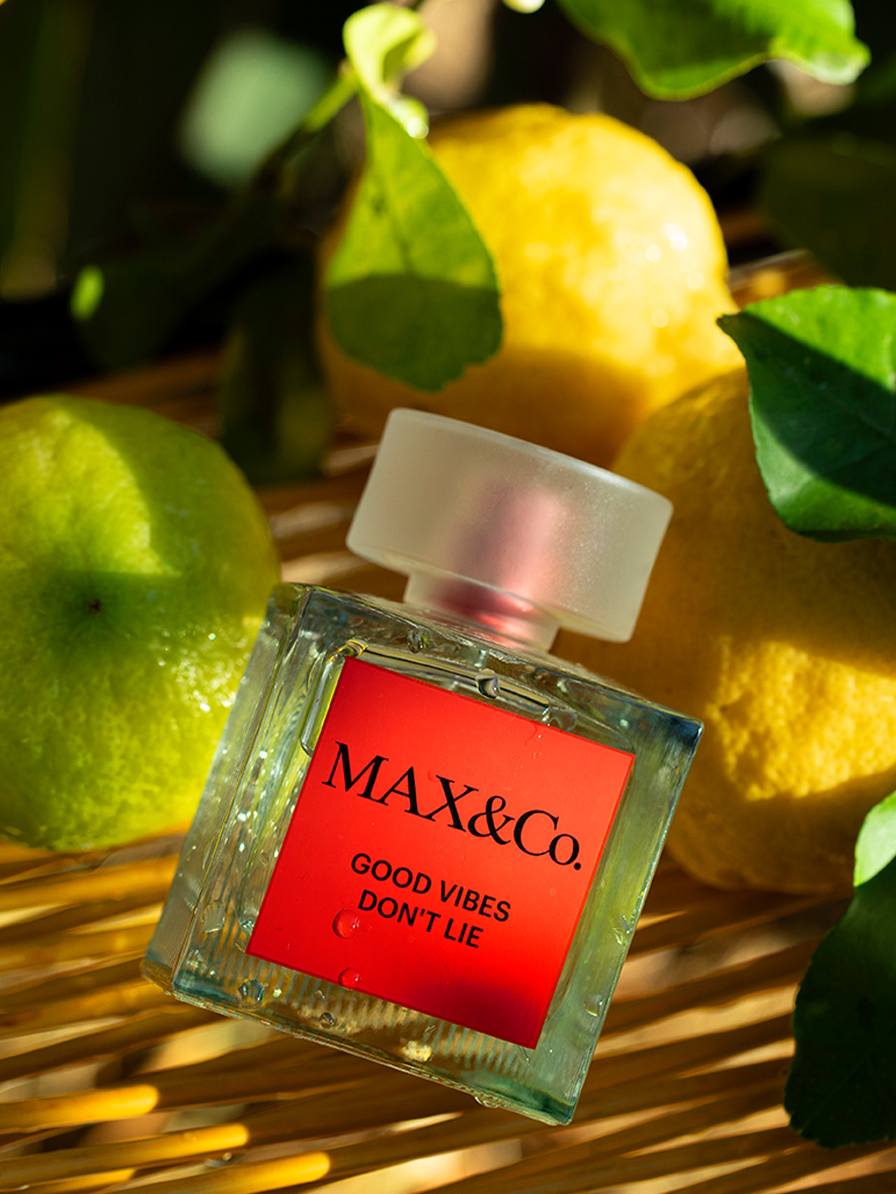 Profumi Maxandco Banner Box Desktop 5 MAX&Co.